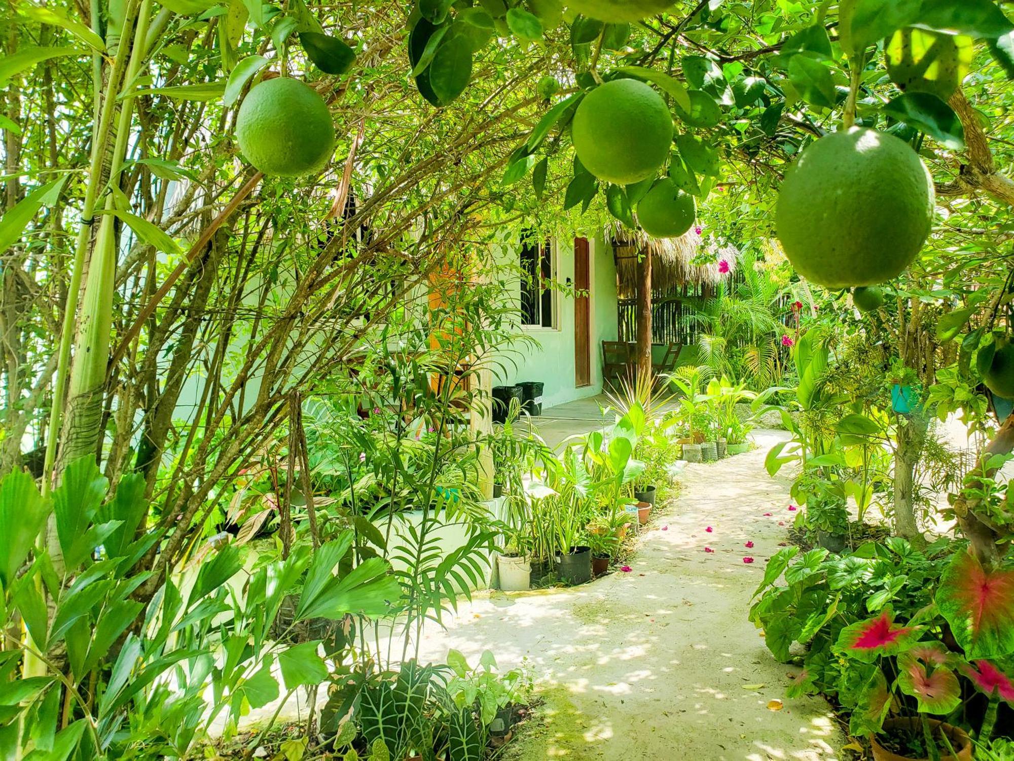 Las Palmas Bacalar Exterior foto