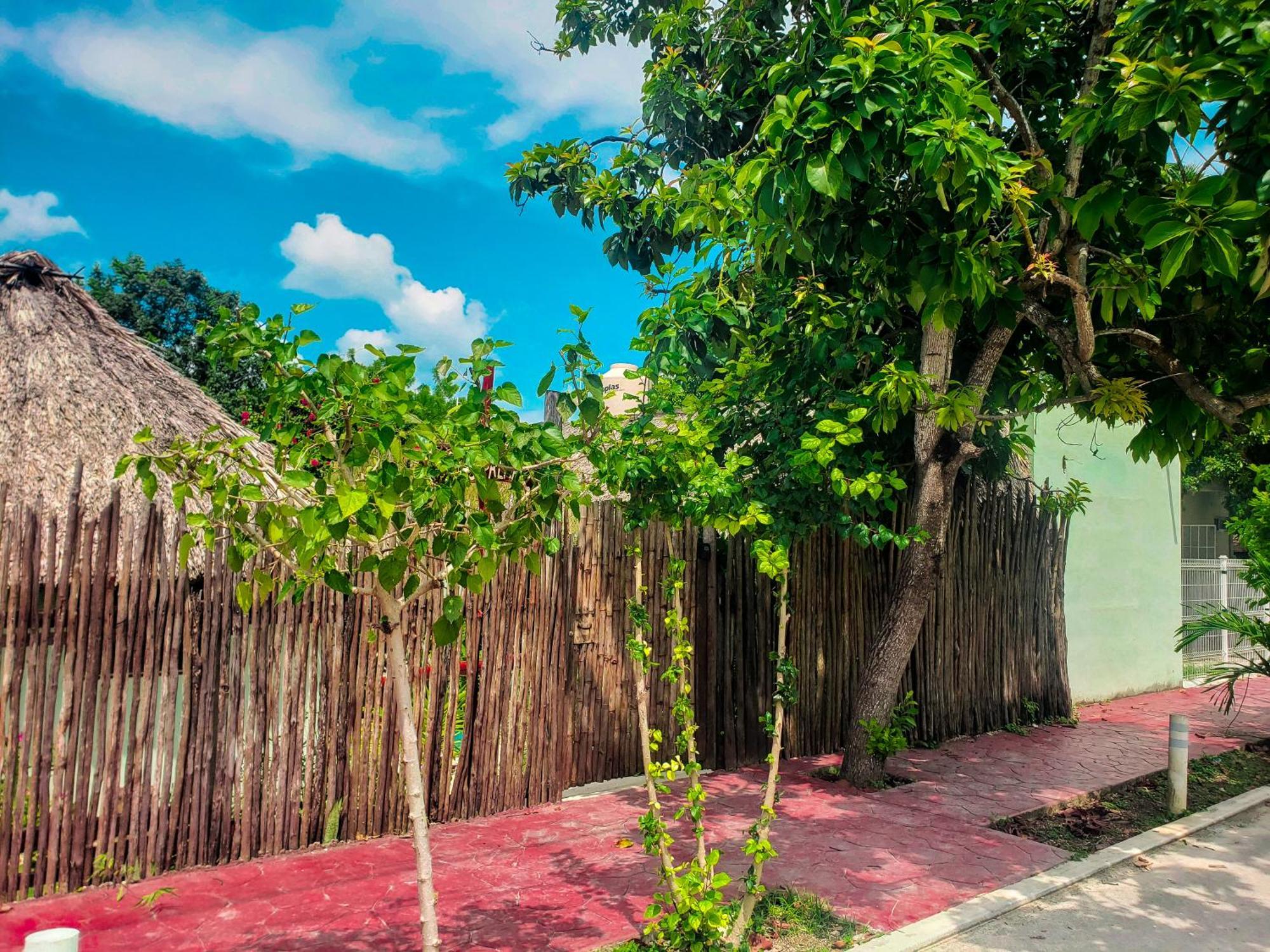 Las Palmas Bacalar Exterior foto